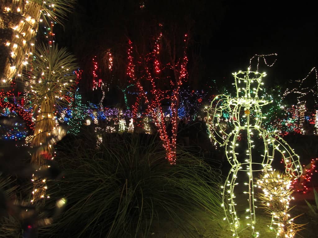 Botanical Cactus Garden