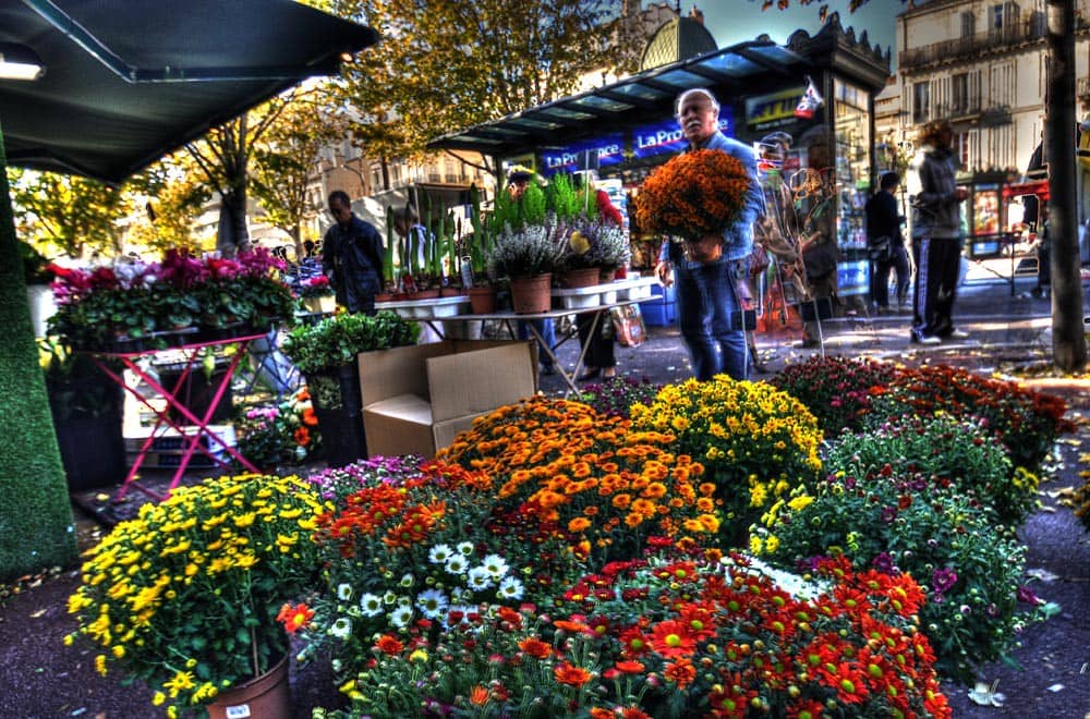 Daily Outdoor Market