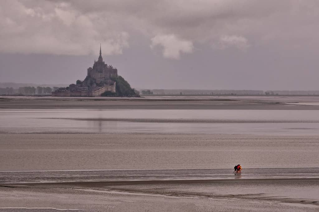 Tidal Bay Exploration