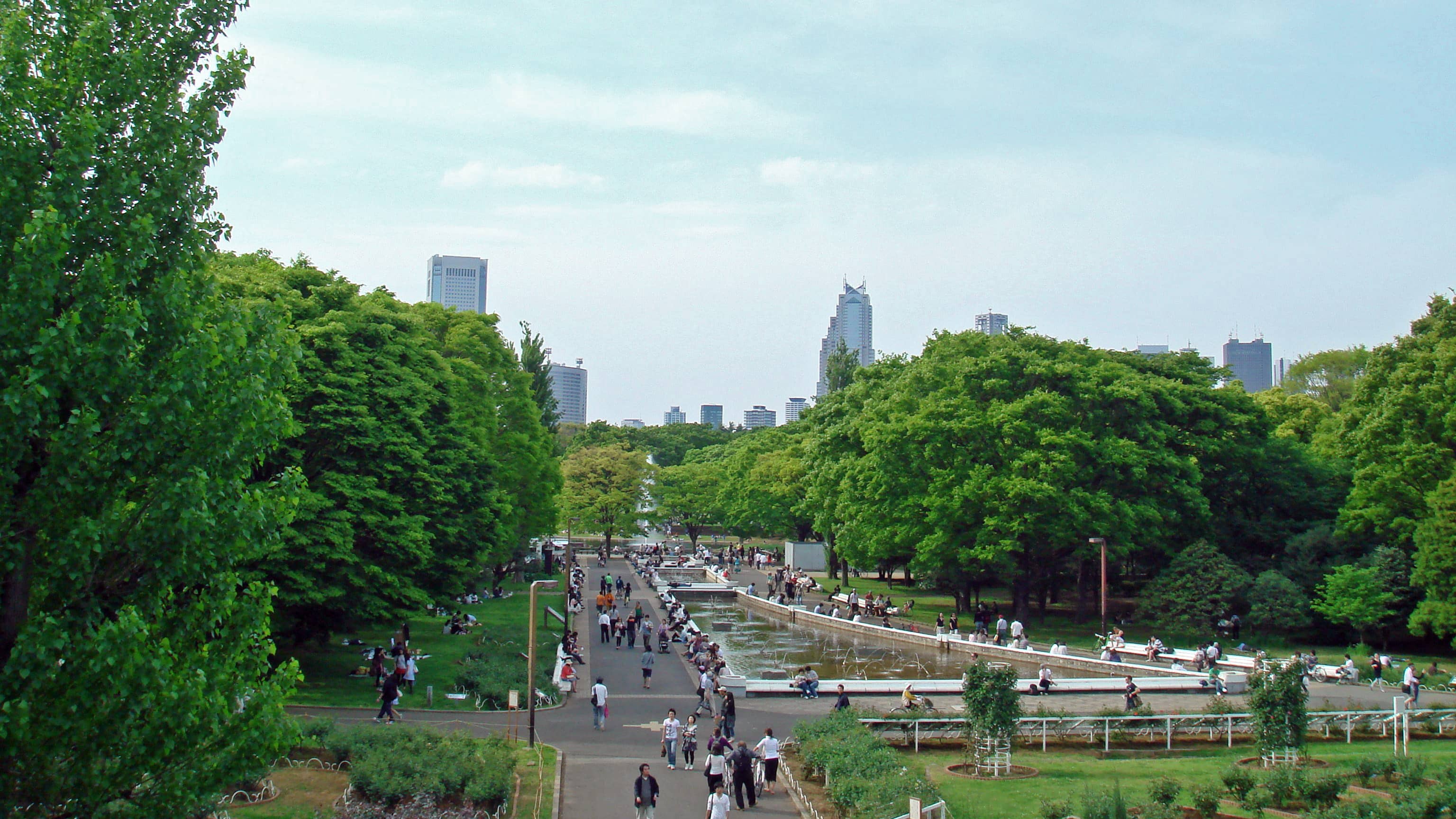 Yoyogi Park Oasis