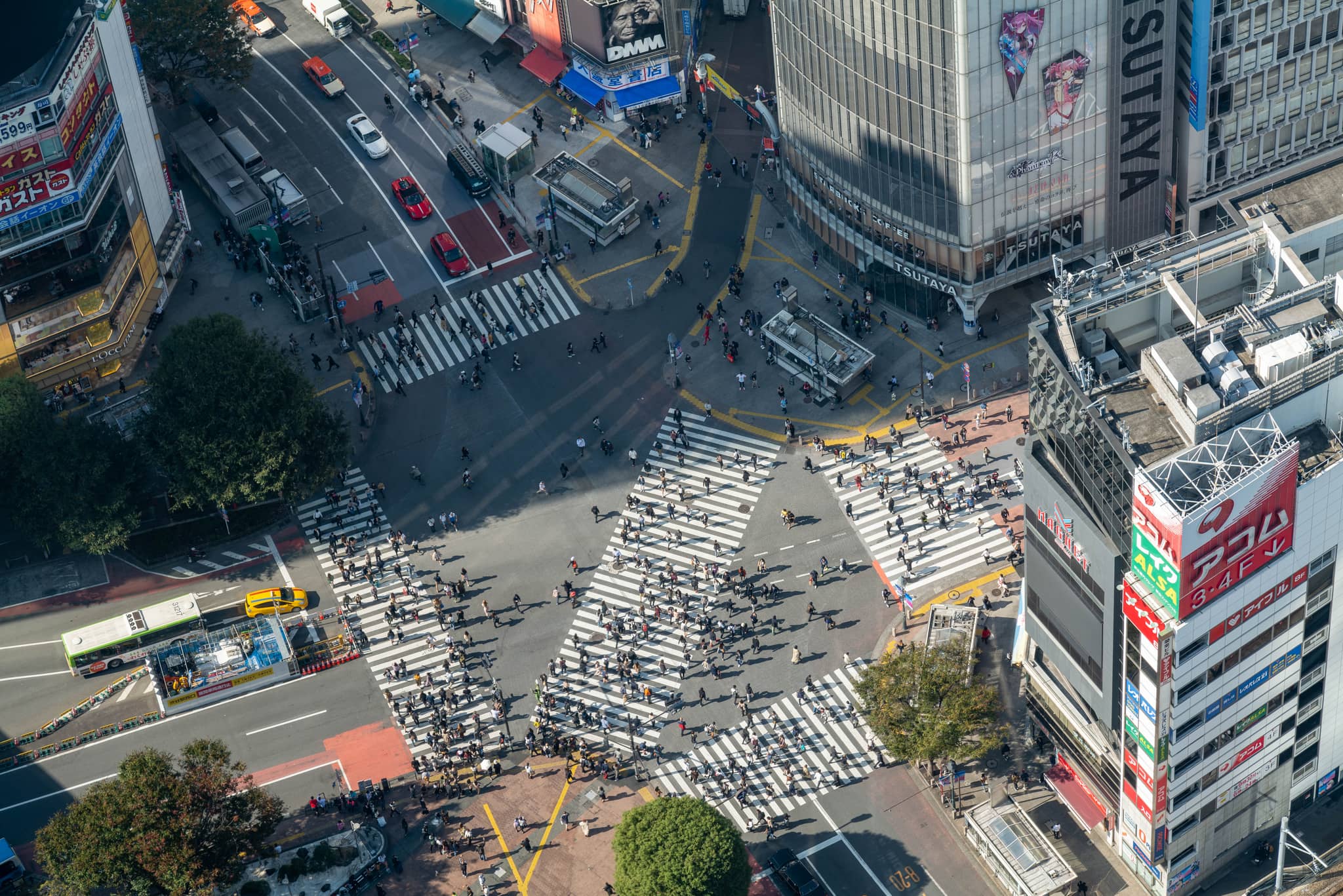 Iconic Shibuya Crossing Views