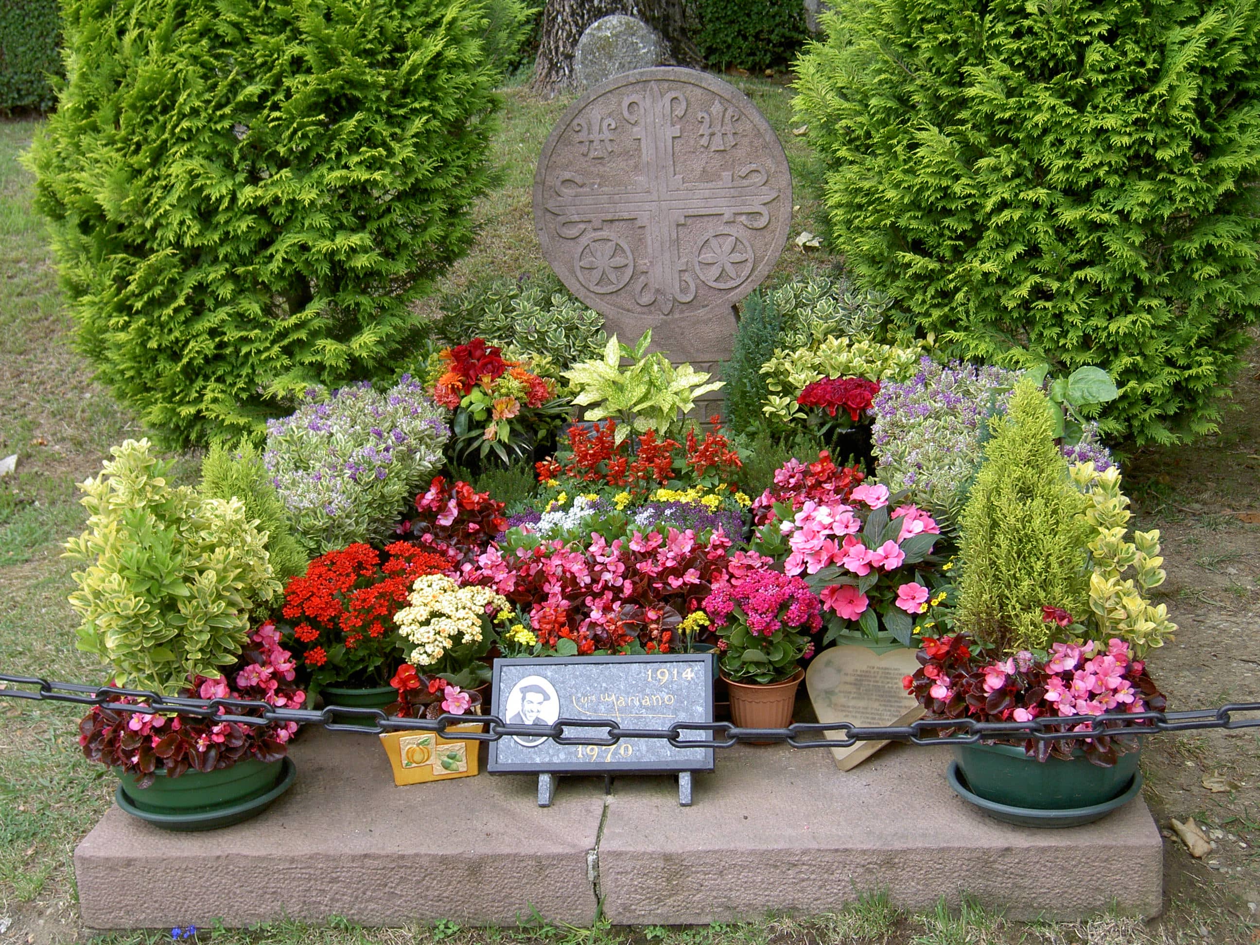 Panoramic Pyrenean Views