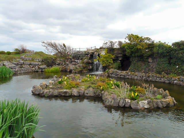 Lush Greenery & Gardens