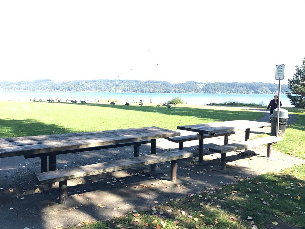 Playground & Picnic Spots