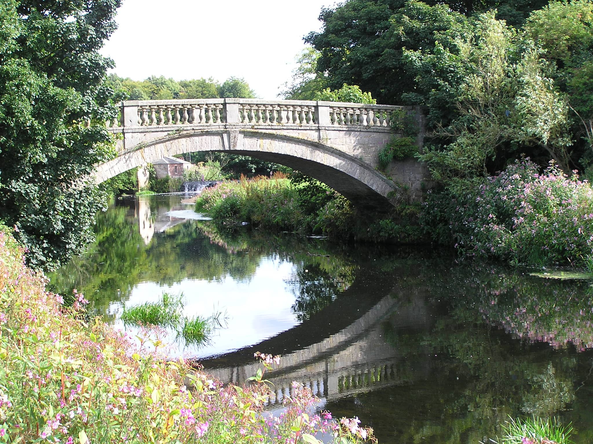 Serene Park Setting