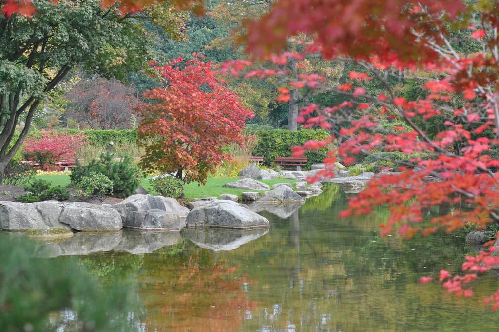 Japanese Garden