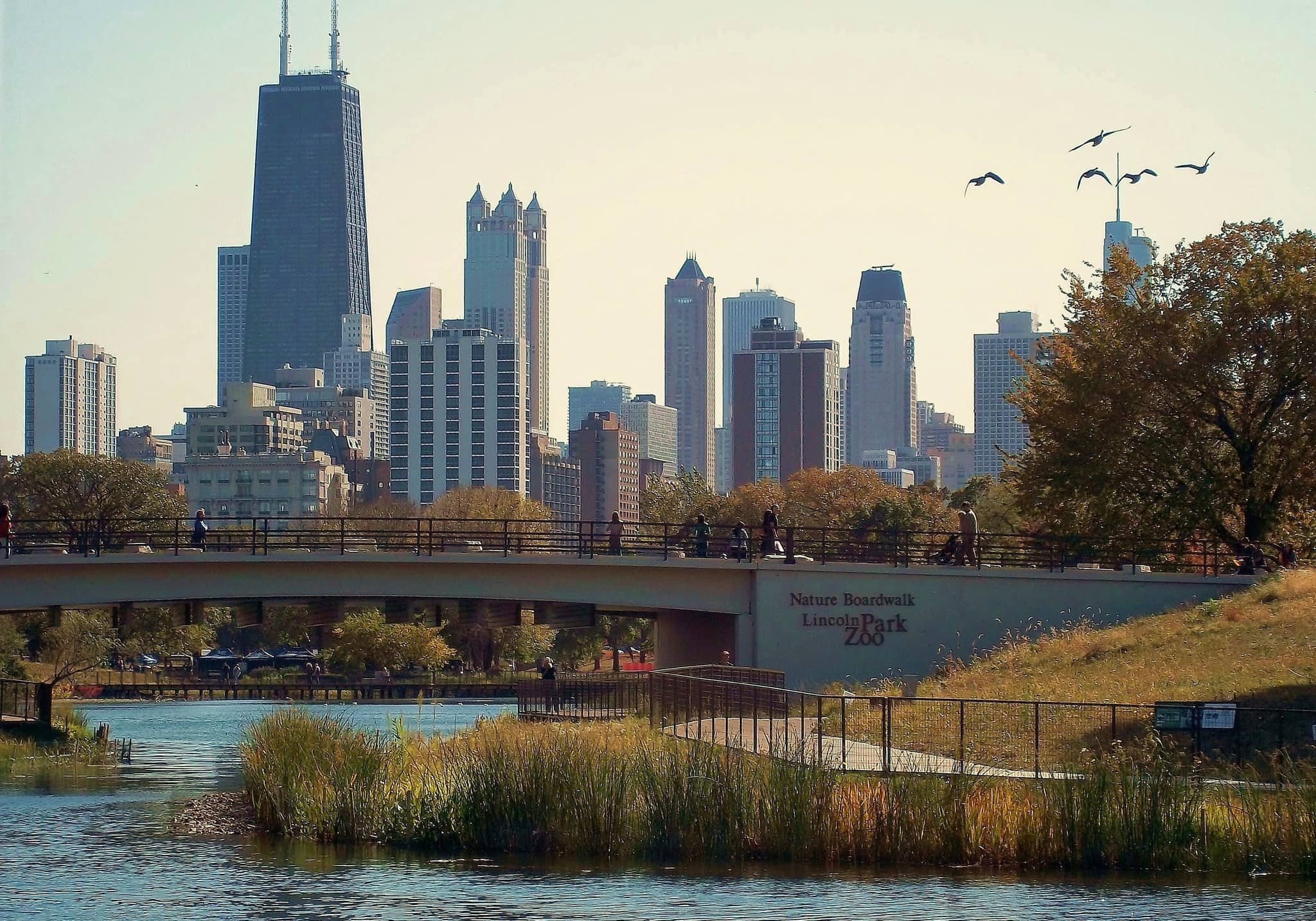 Nature Boardwalk at Lincoln Park Zoo