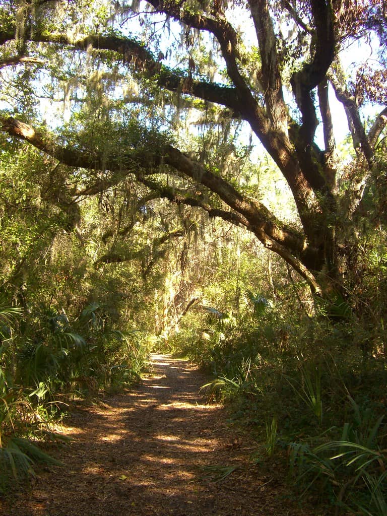 Nature Trails