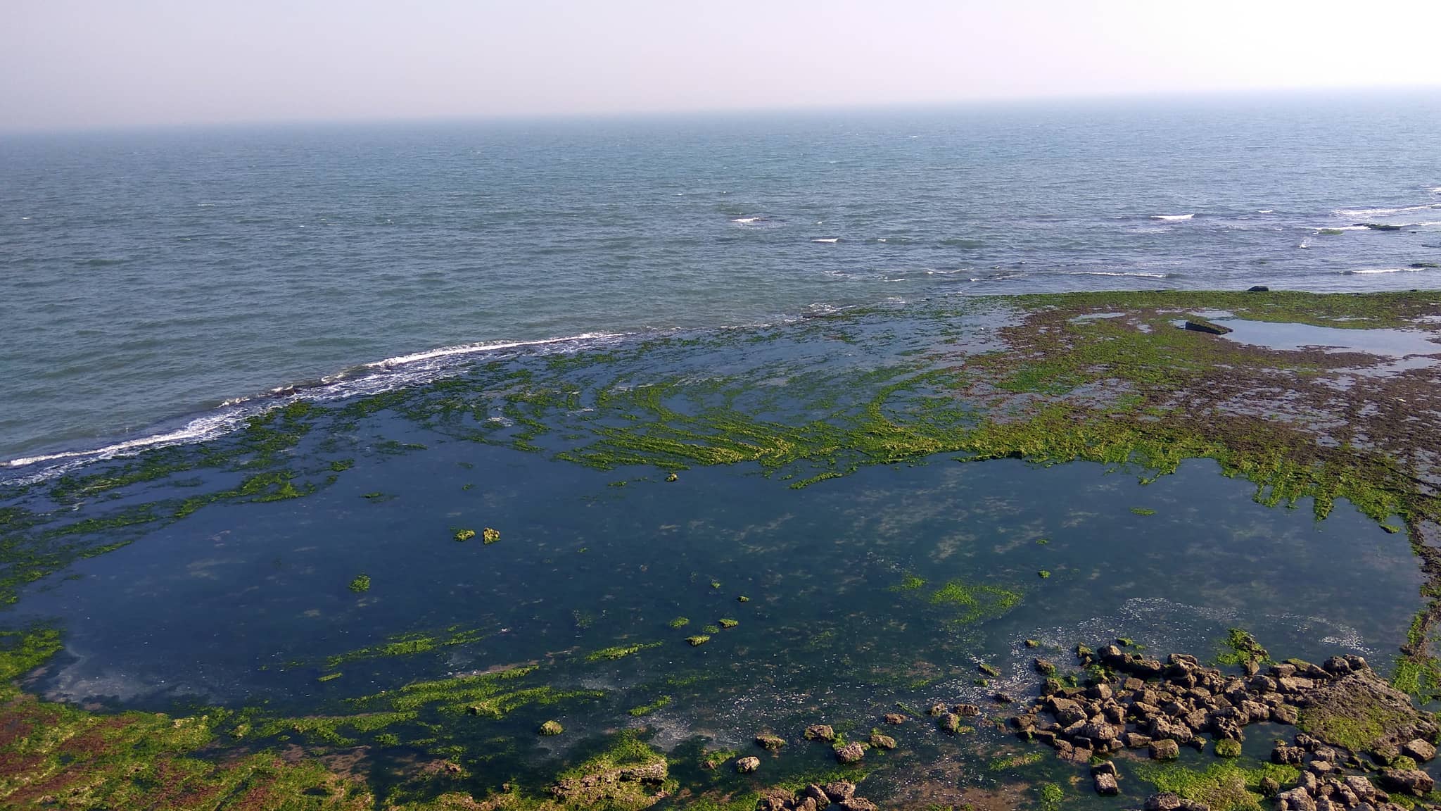 Arabian Sea Vistas