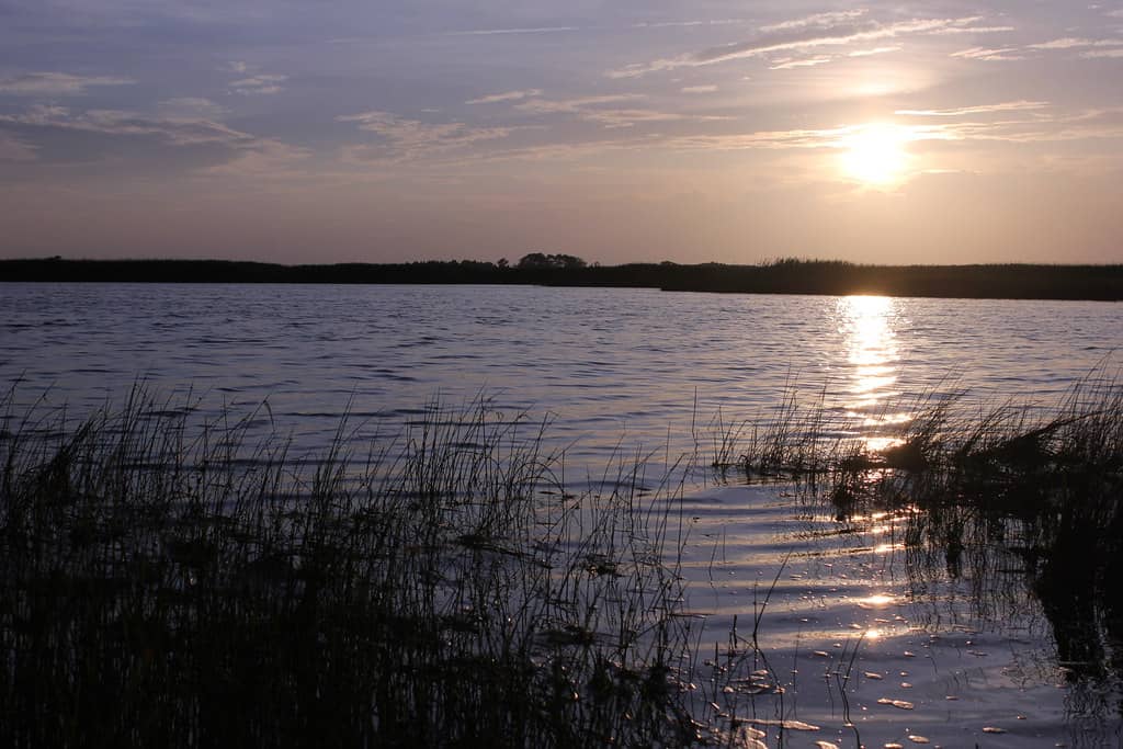 Back Bay Wildlife Refuge Paddling