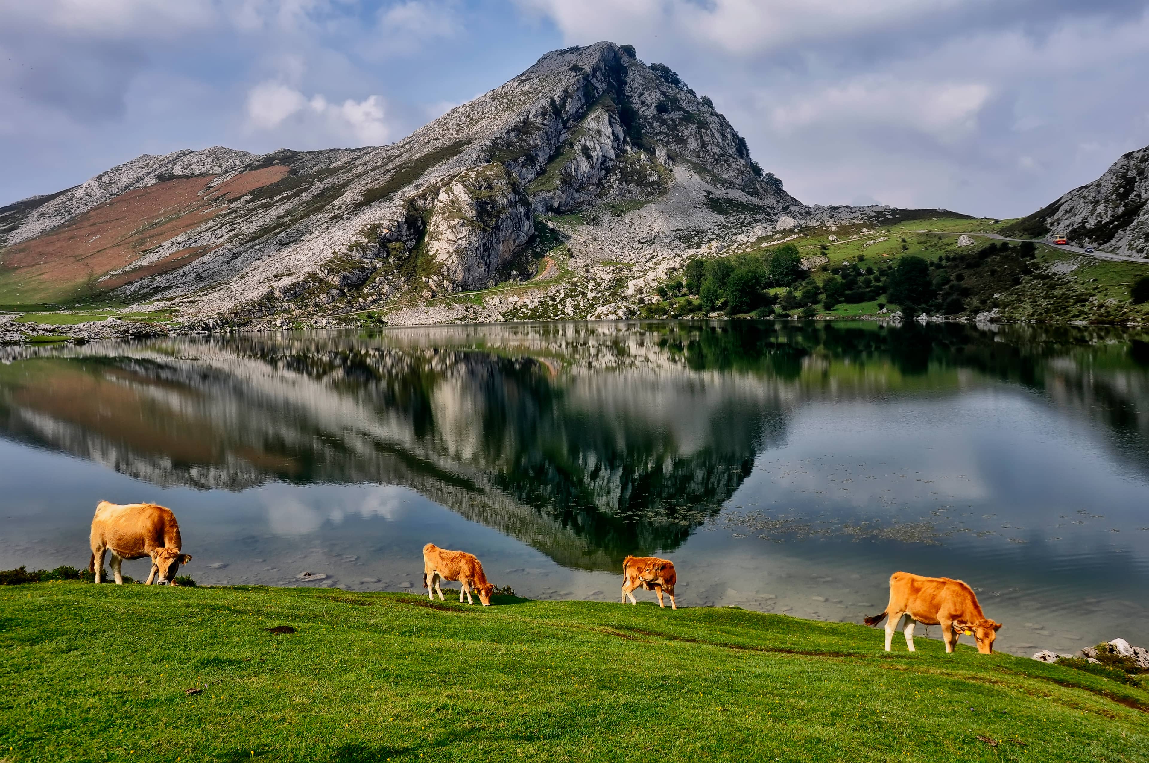 Lakes of Covadonga (Lagos de Covadonga)