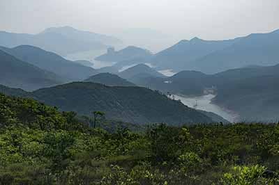 Lush Greenery and Serene Views