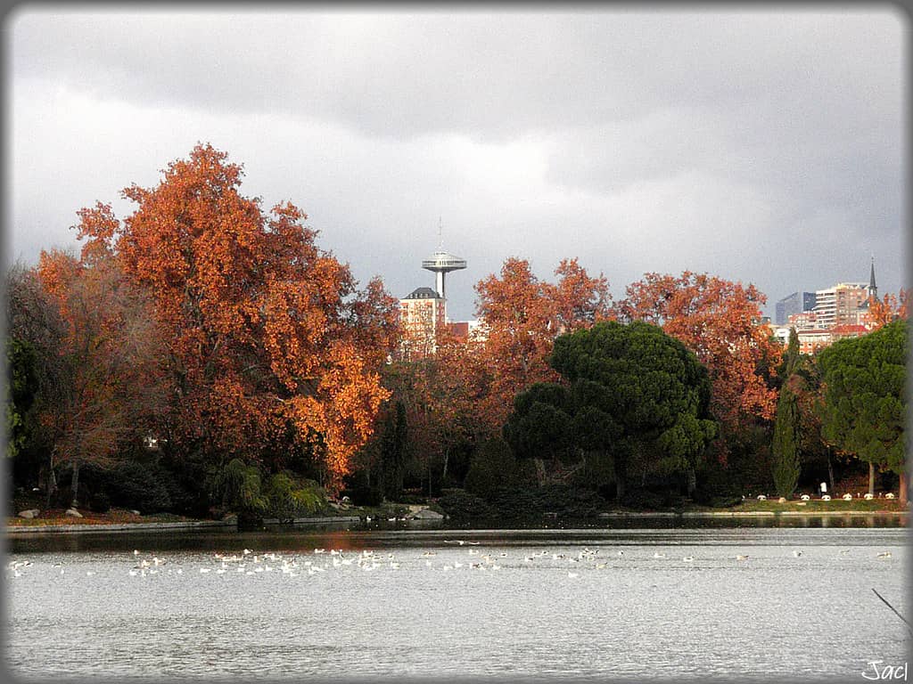 Lake and Bridges