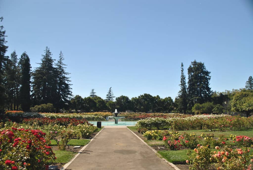 Picnic Spots