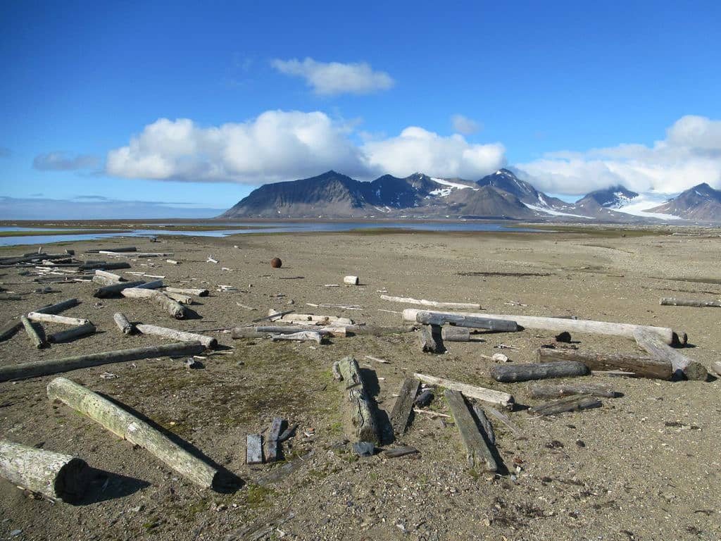 Untamed Arctic Scenery