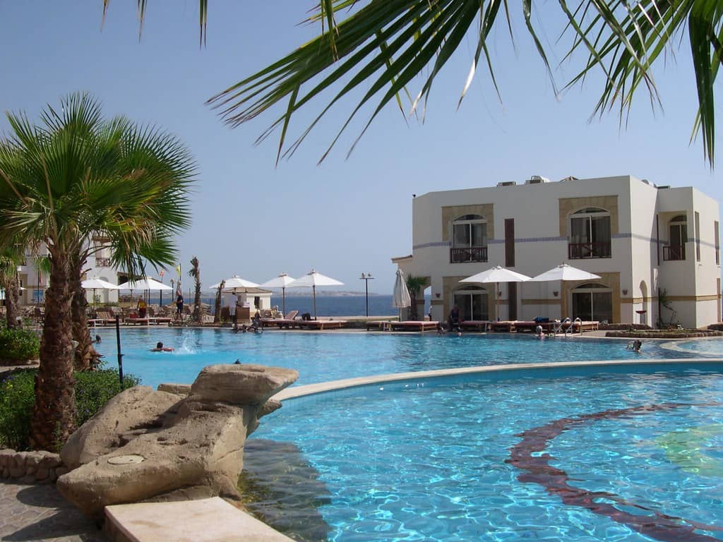 Poolside Relaxation