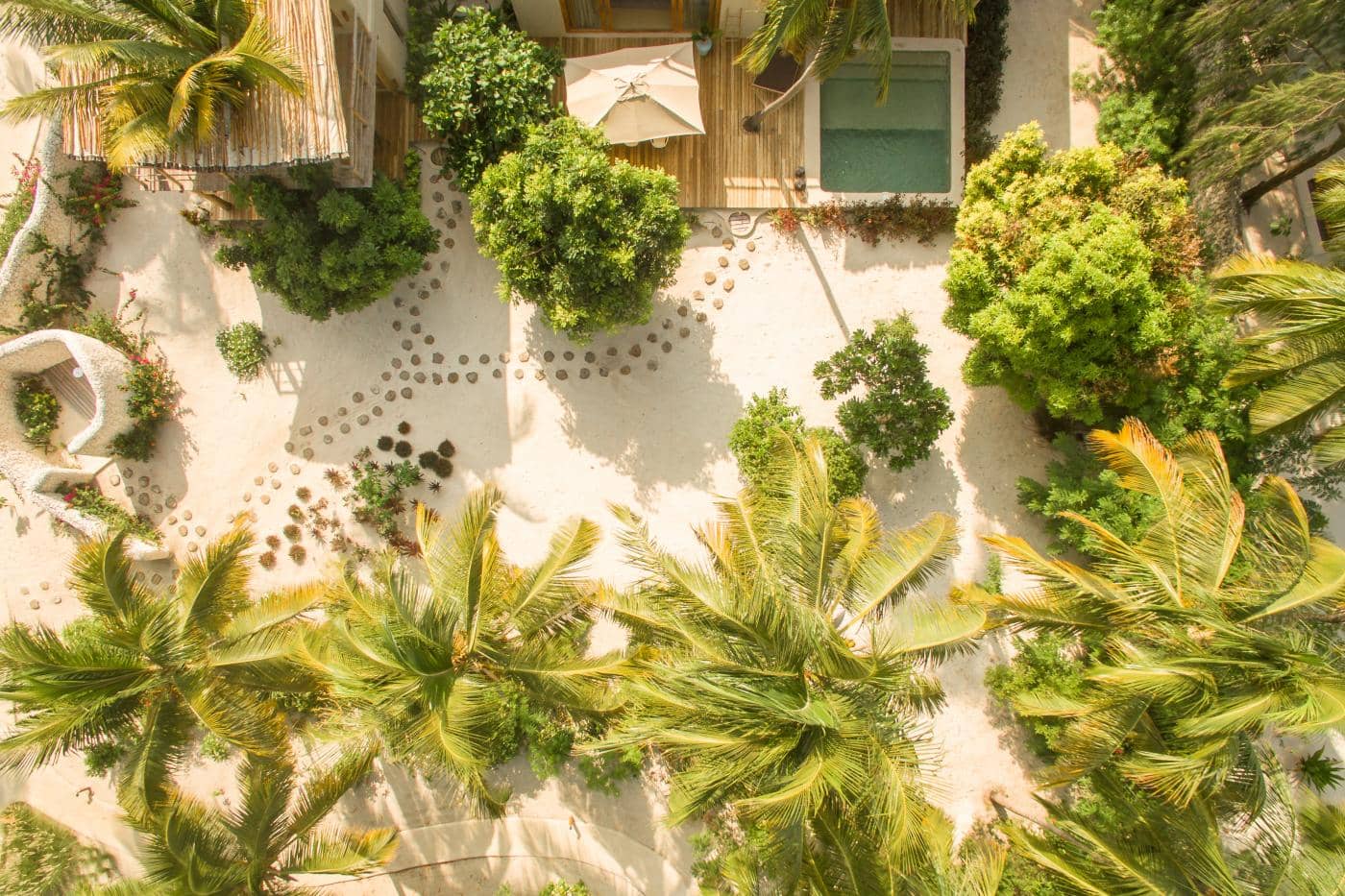 Pemba's Lush Interior