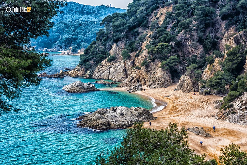Snorkeling Opportunities