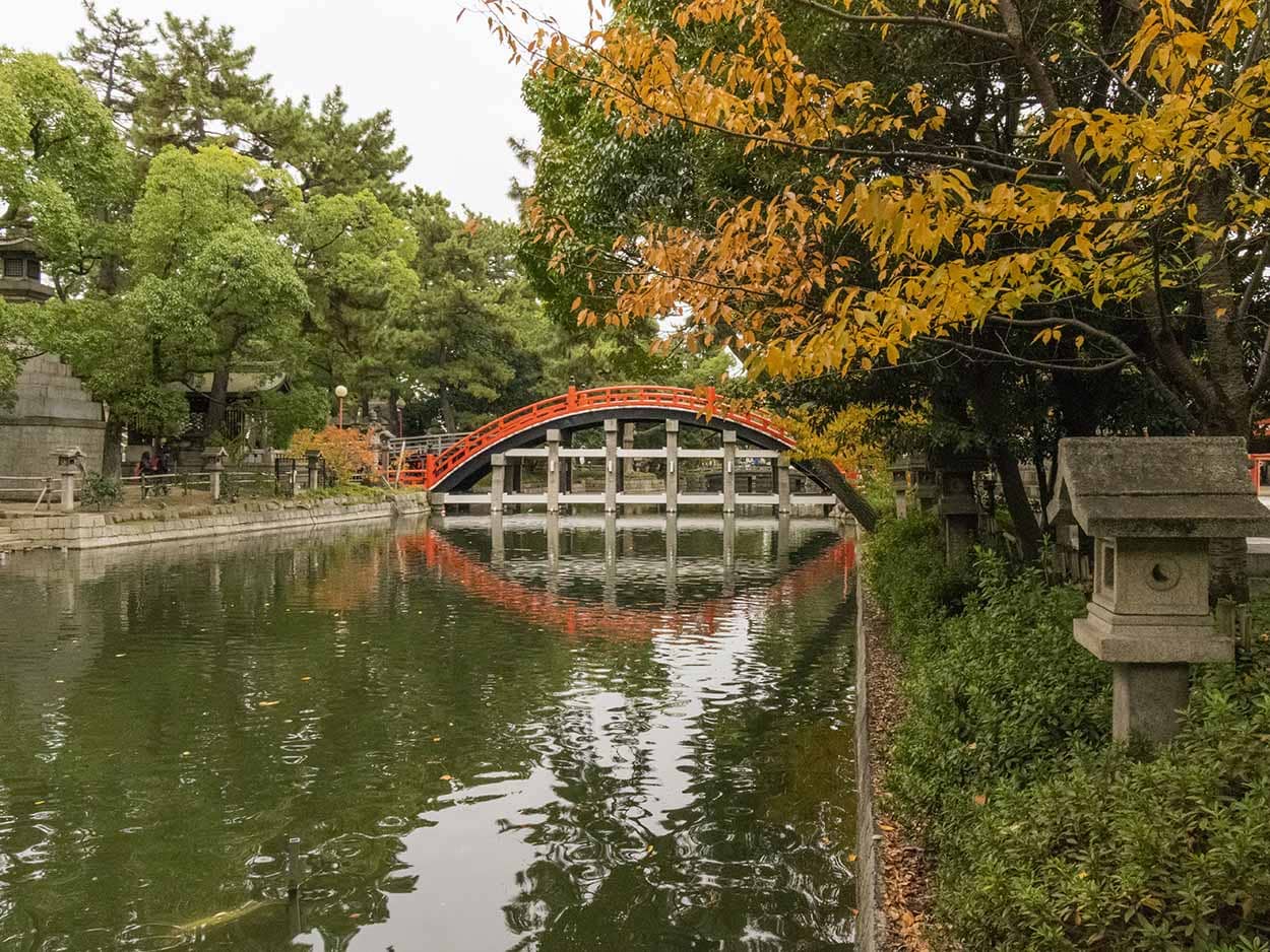 Seasonal Flower Displays