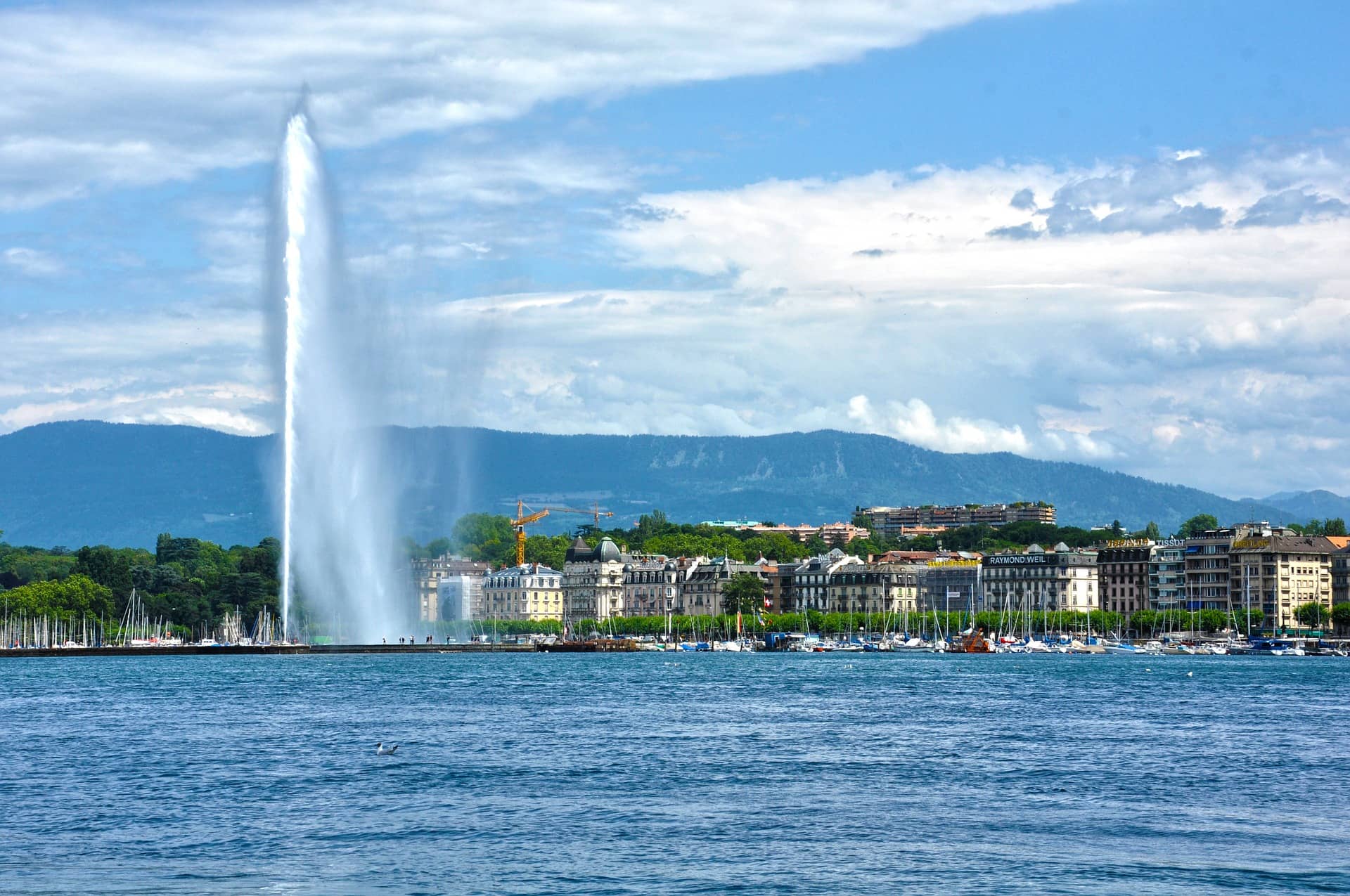 Lake Geneva Views