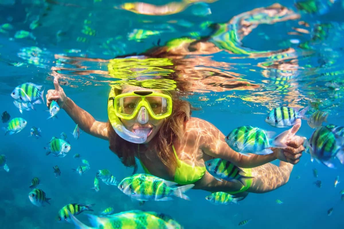 Snorkeling Opportunities