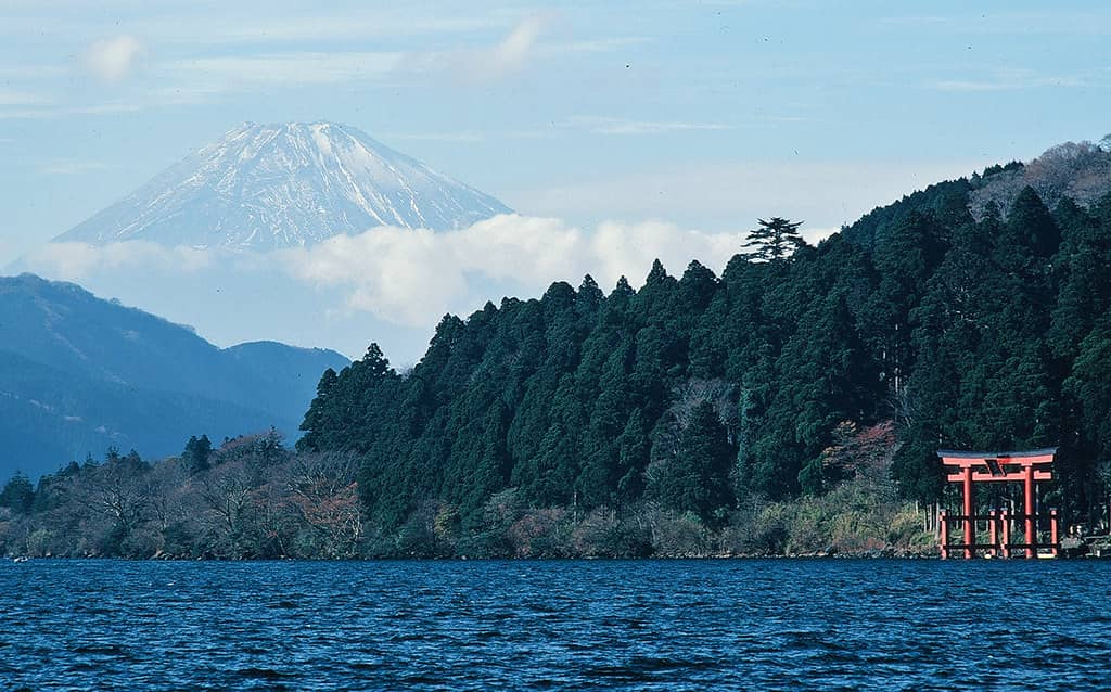 Mount Fuji Views