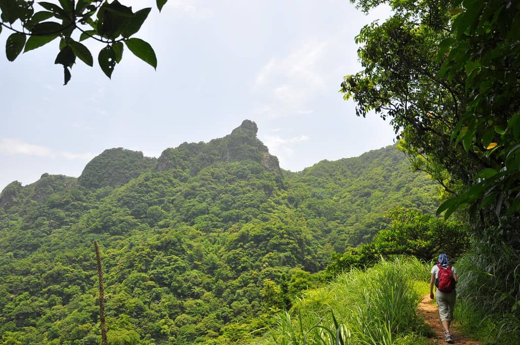 Cat Ba National Park