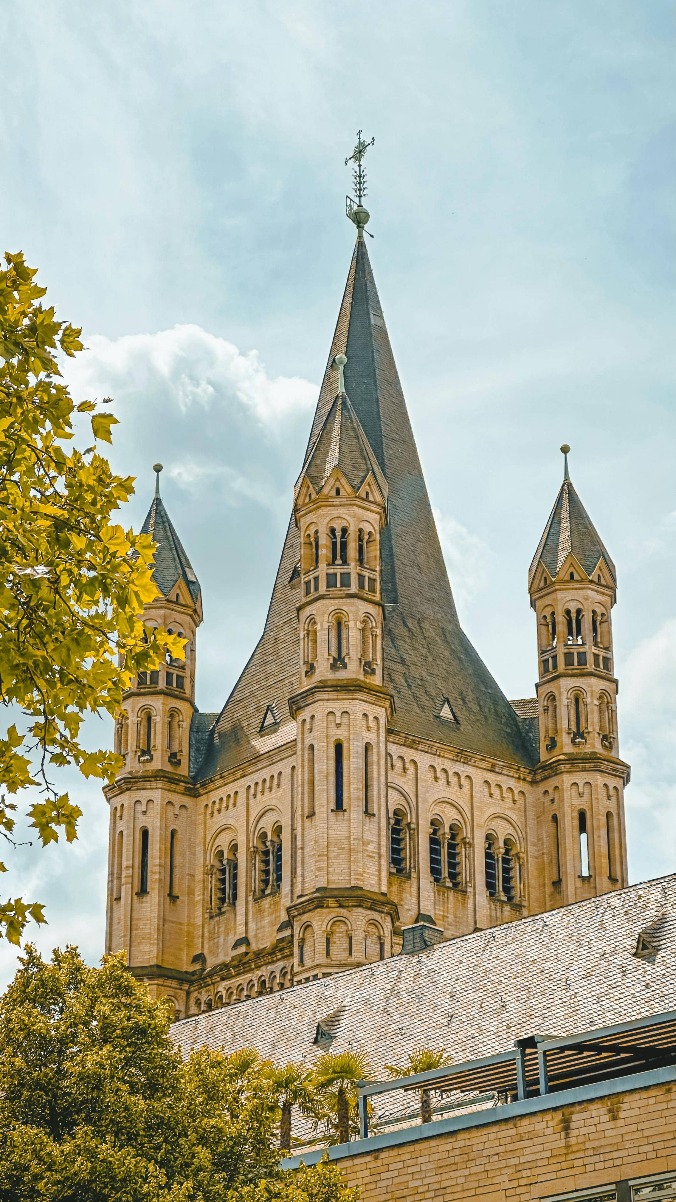 Rhine River Views