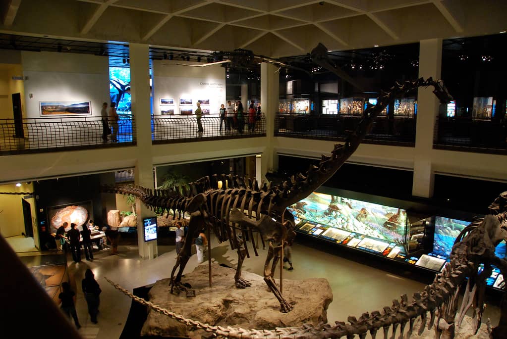 Interactive Science Exhibits