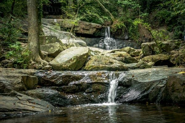 Wooded Walking Trails