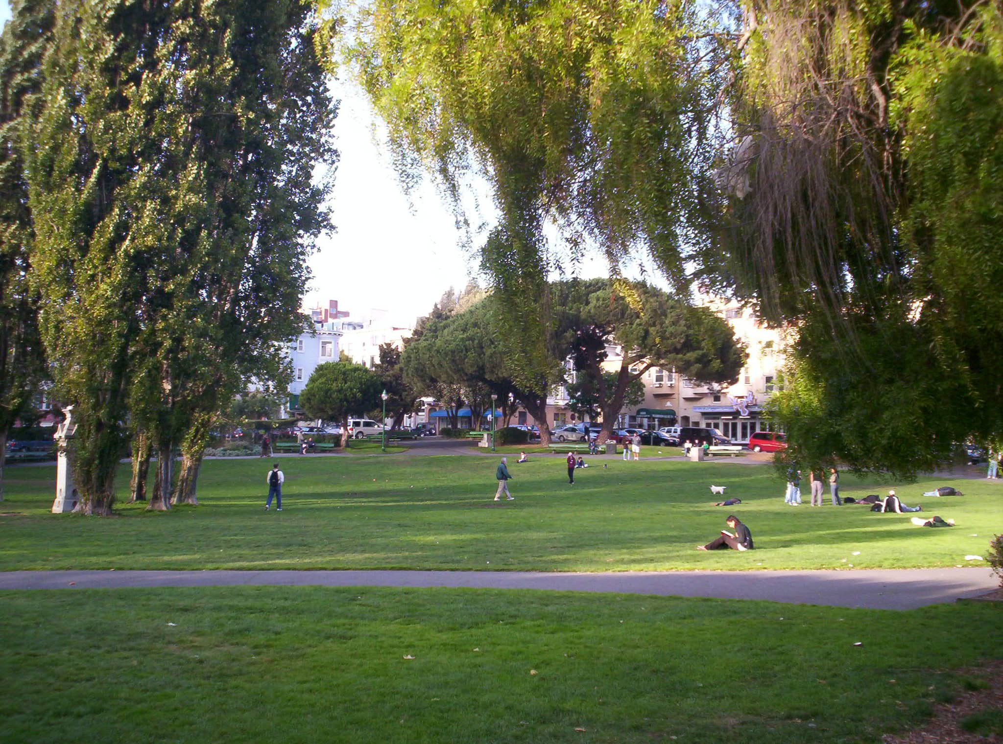 The Central Lawn