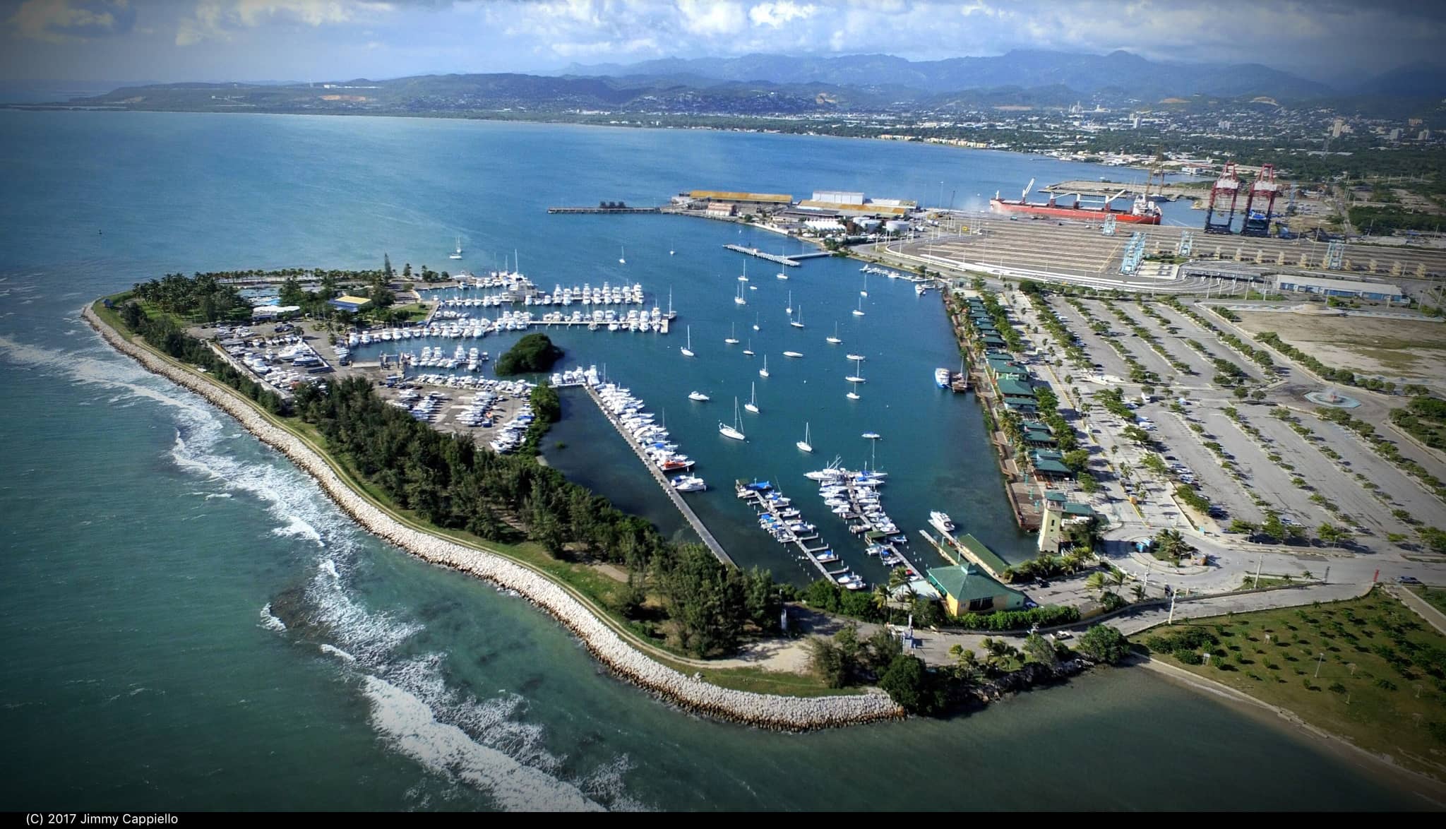 Marina Views