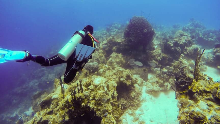 Snorkeling Near Fig Tree Island