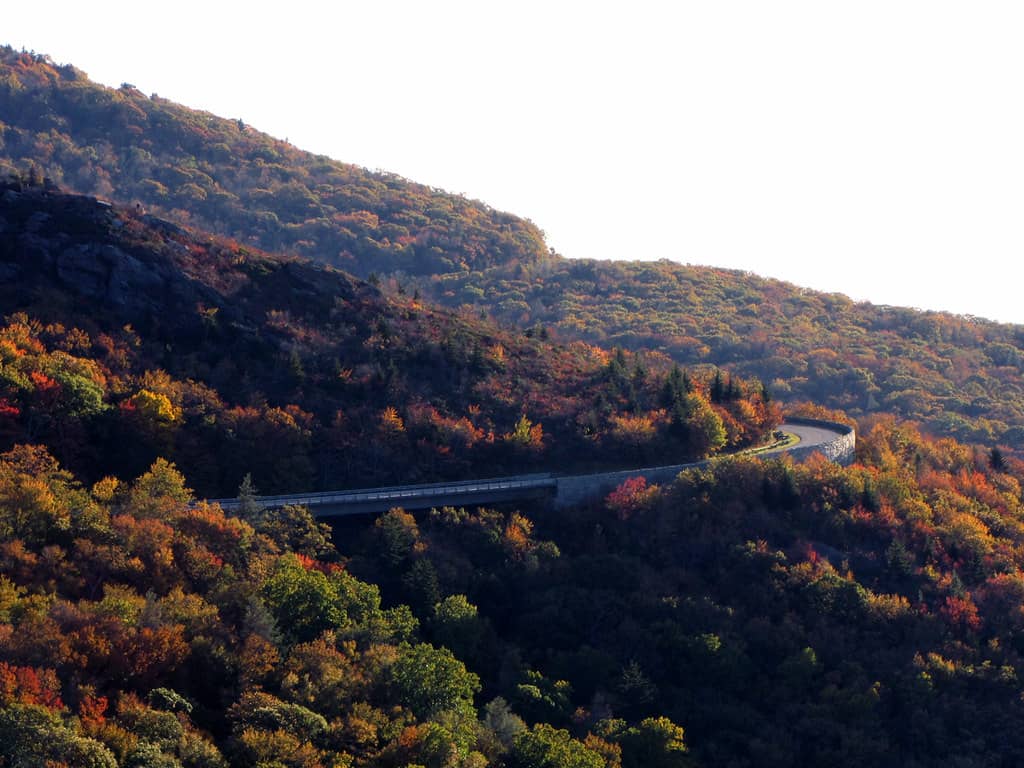 Rough Ridge Overlook