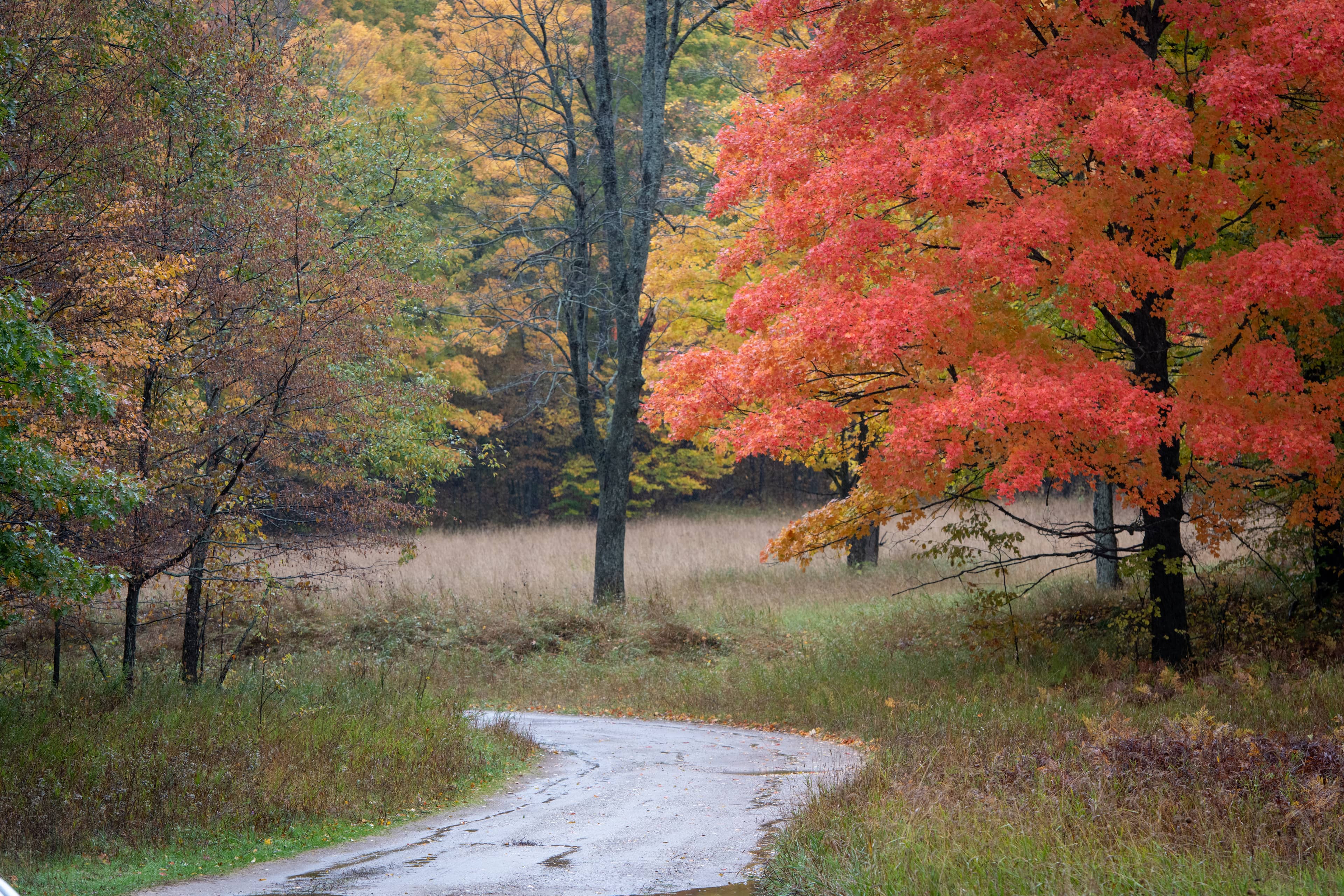 Scenic Walking & Biking Trails