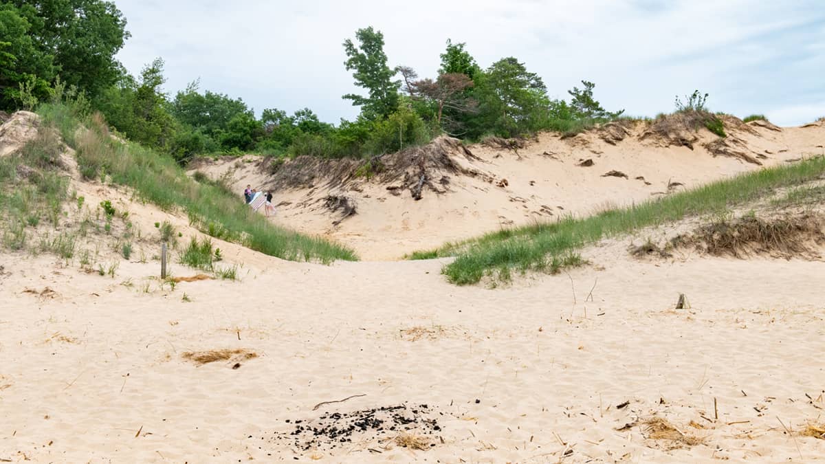 Coastal Dunes & Trails