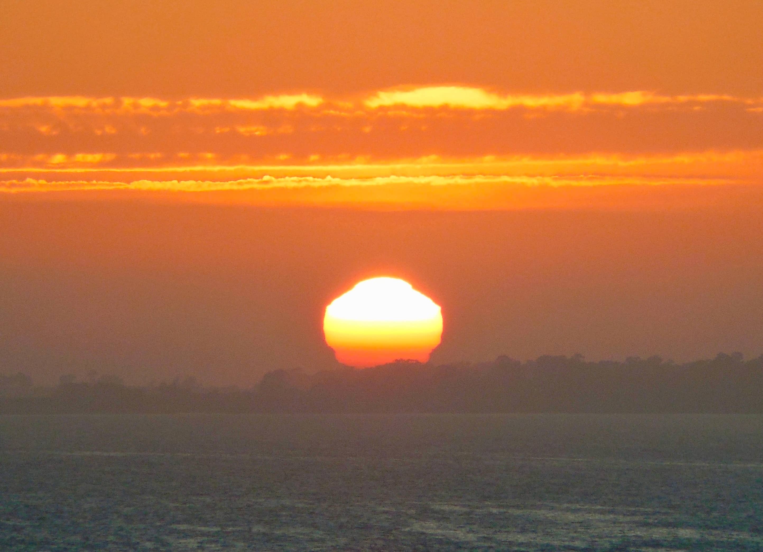 Douglas Family Preserve