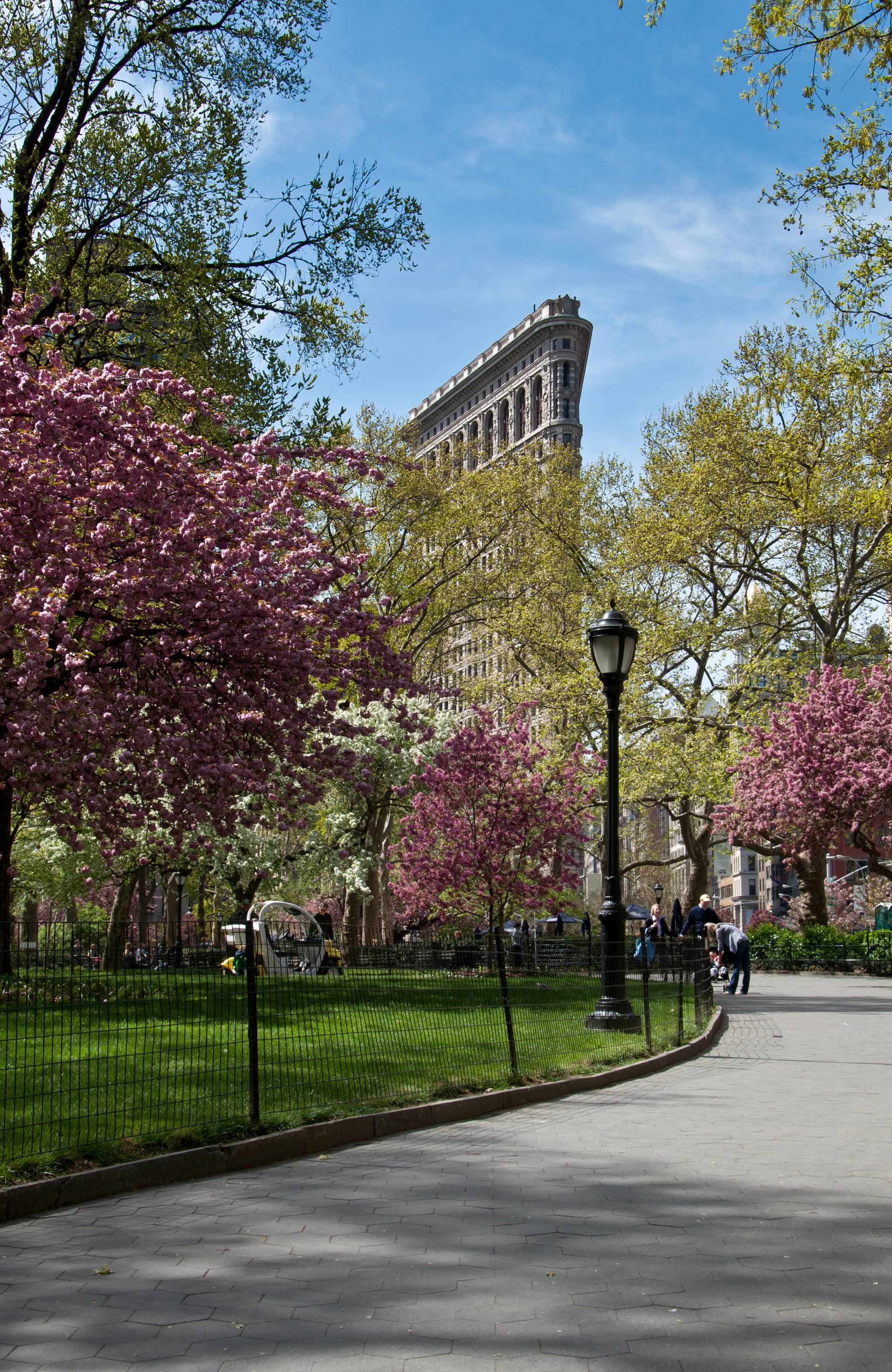 Seasonal Cherry Blossoms