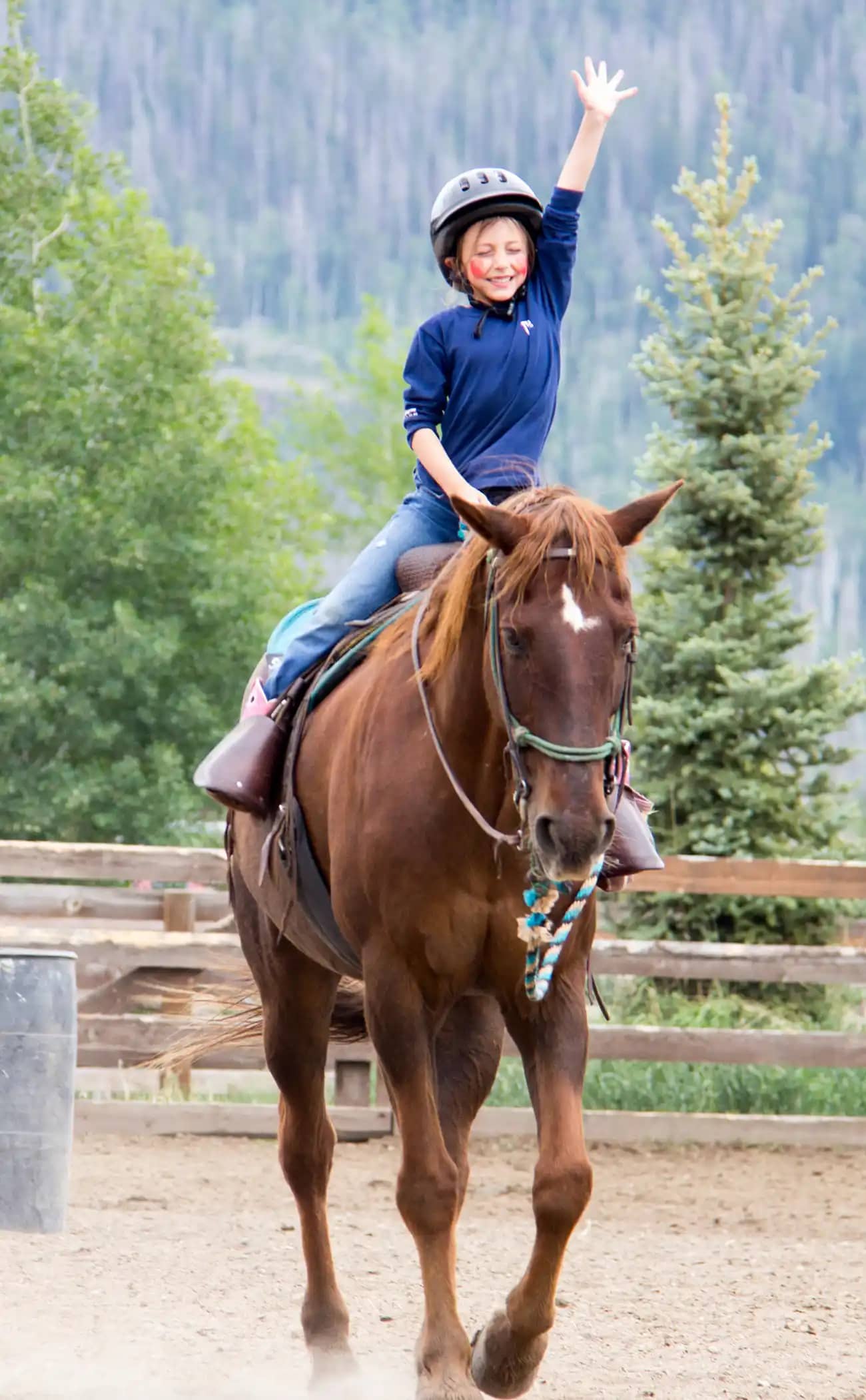 Beginner-Friendly Horseback Riding