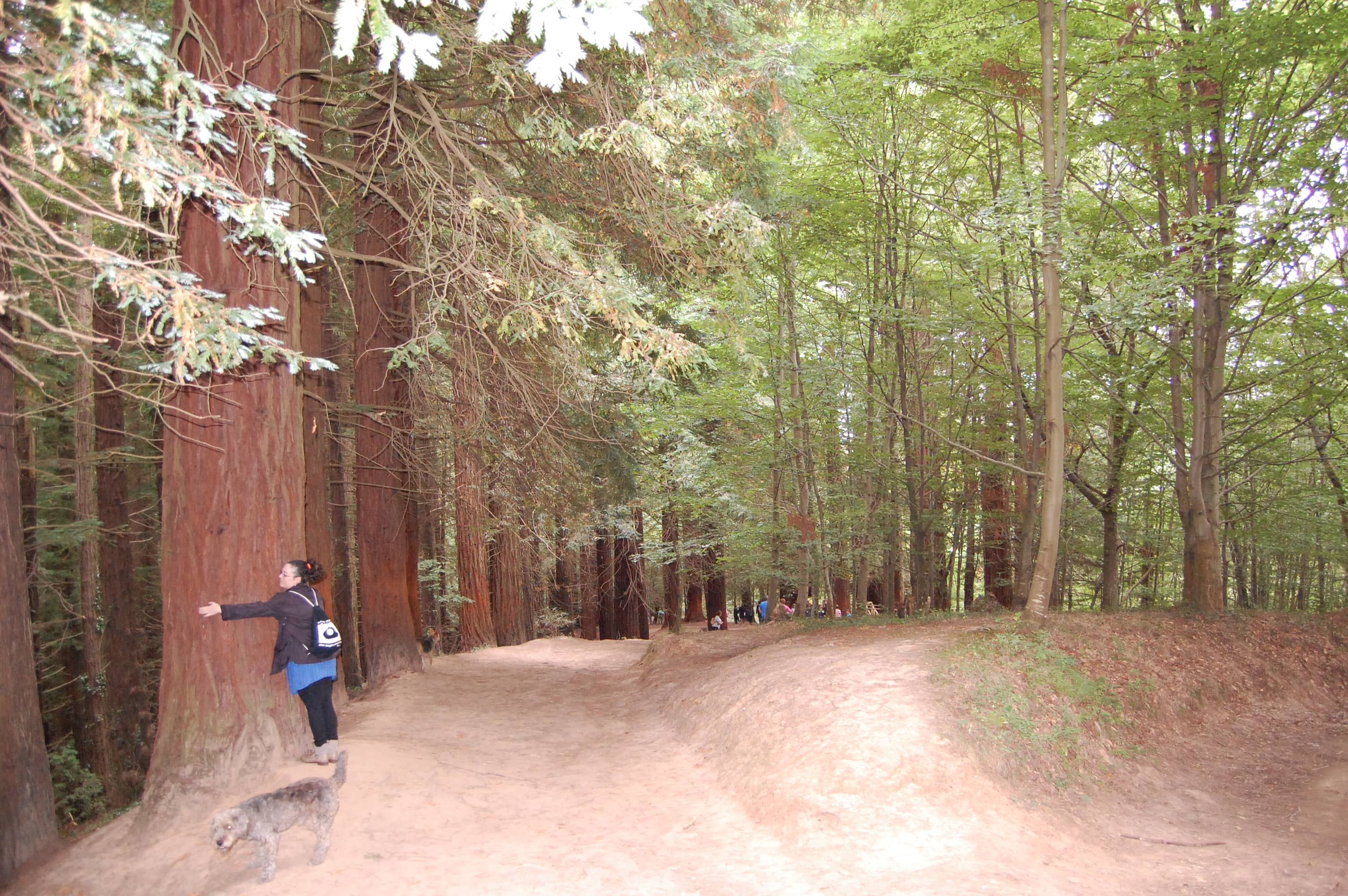 Tranquil Walking Trails