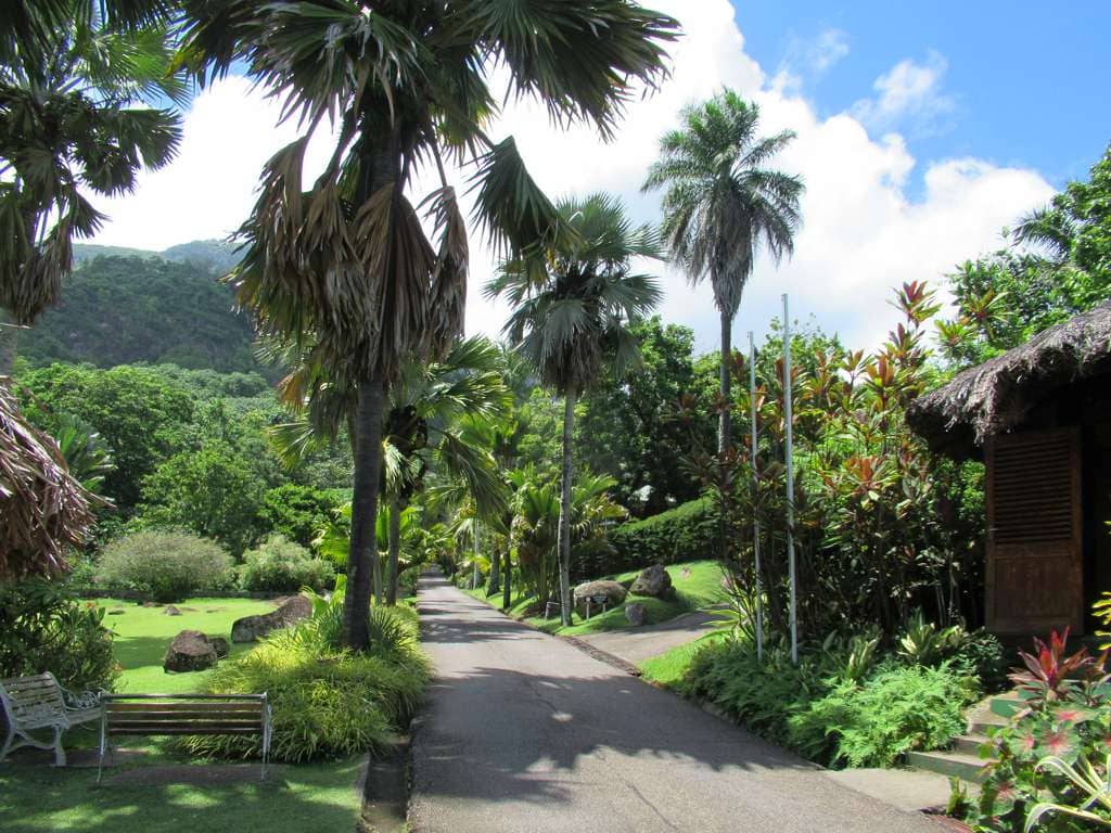 Endemic Plant Collection