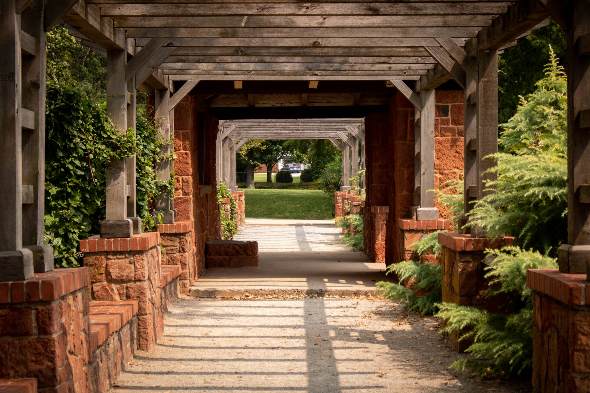 Whimsical Pathways
