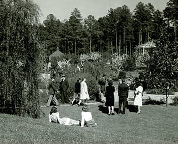 Discovery Garden