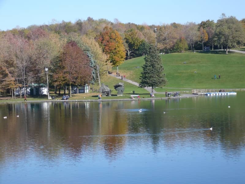 Mount Royal Views
