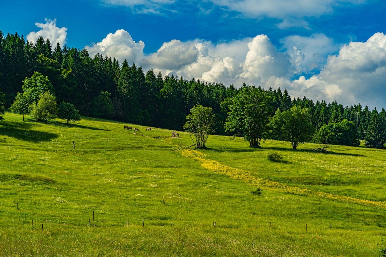 Stunning Natural Landscapes