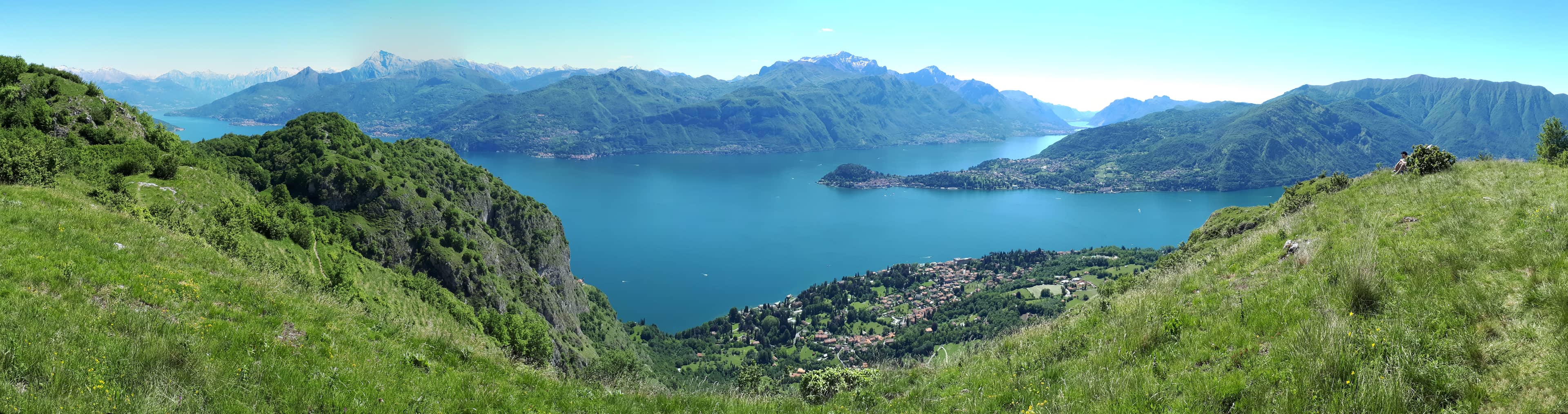 Friendly Resident Hawks