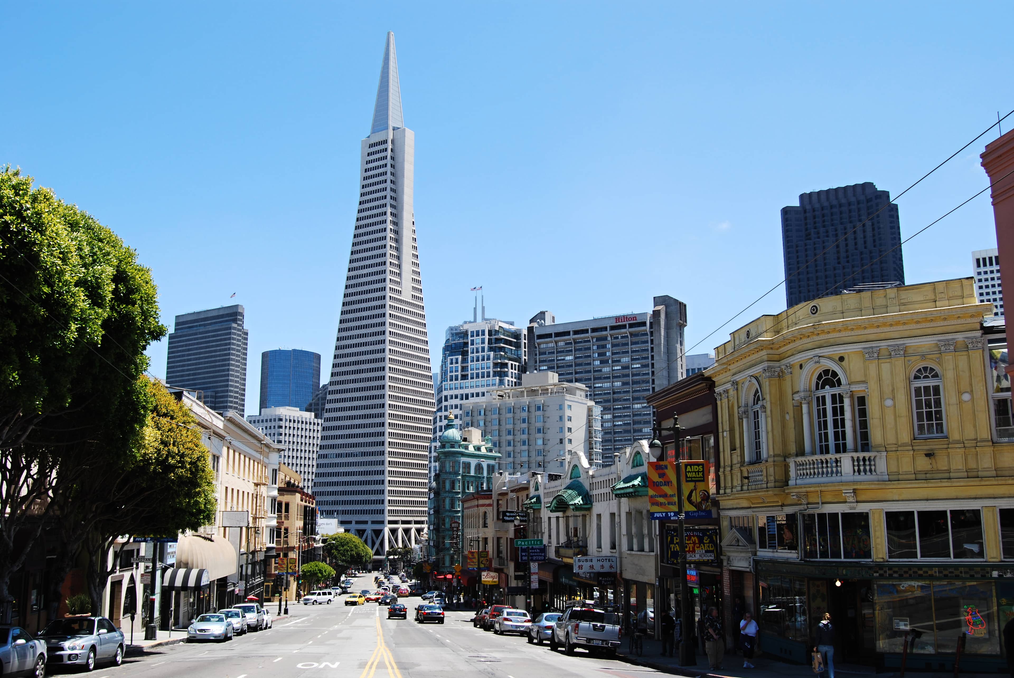 Iconic San Francisco Views