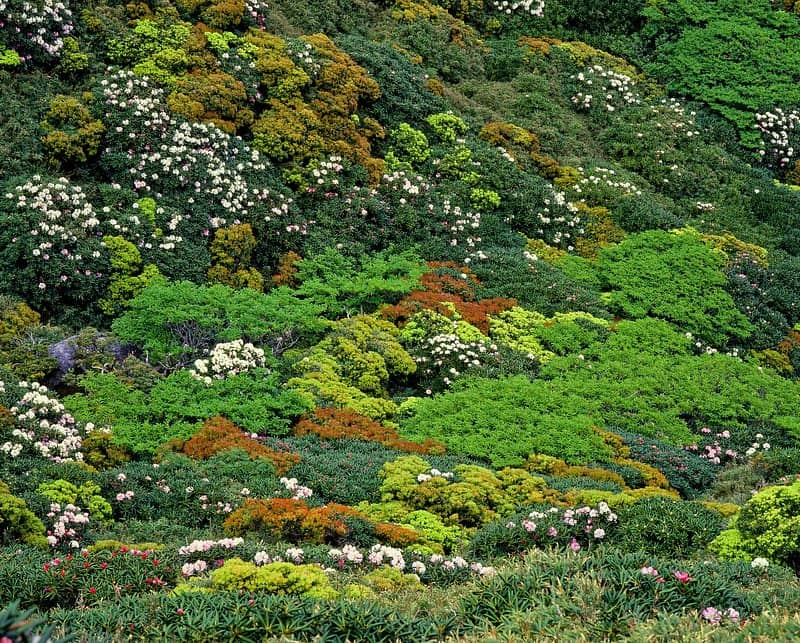 Incredible Kids' Playground