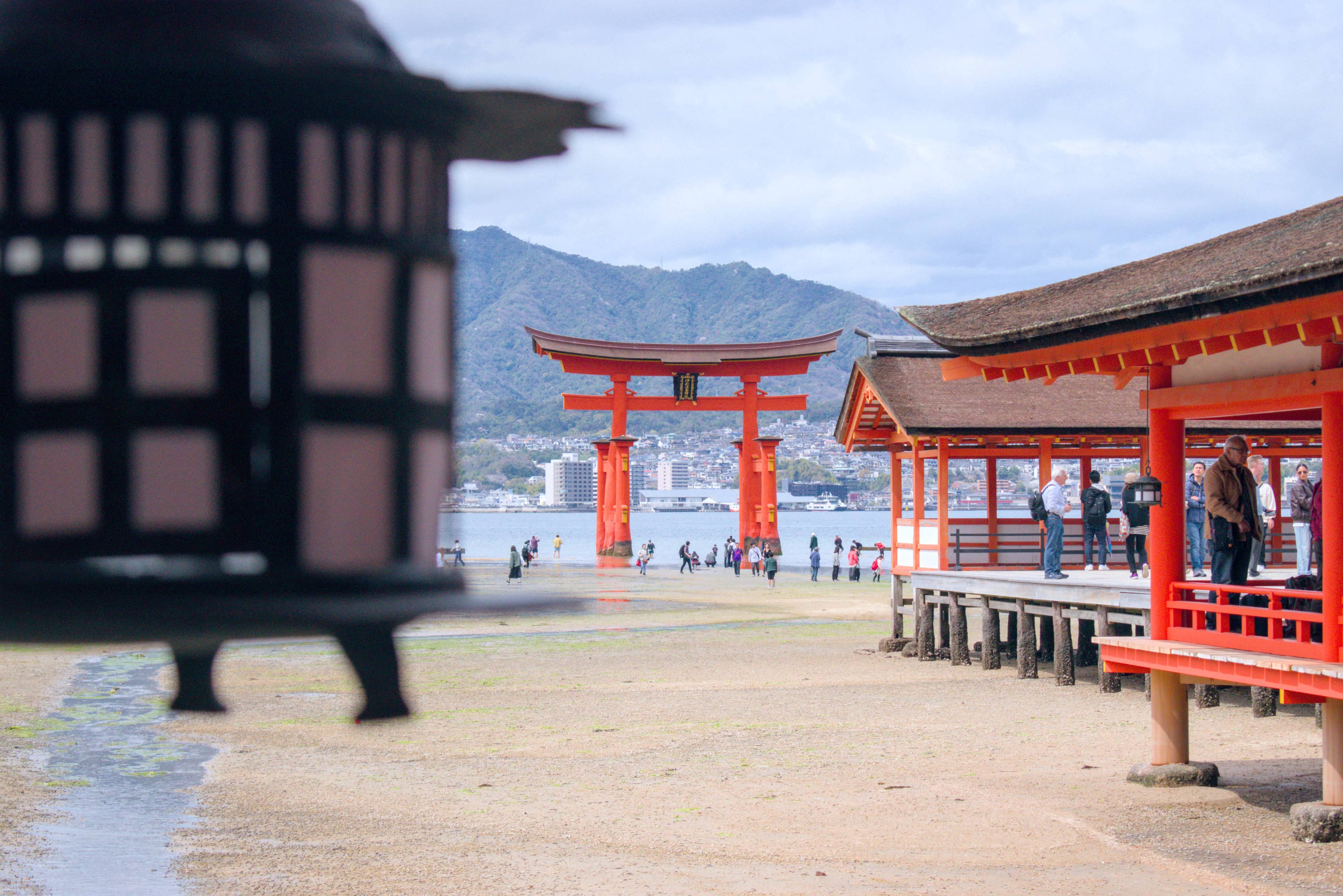 Interactive Feeding Shows