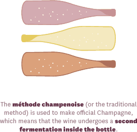 Vineyard to Bottling Process